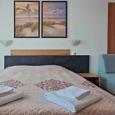 александър студио スヴェティ・ヴラス