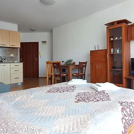 александър студио * スヴェティ・ヴラス