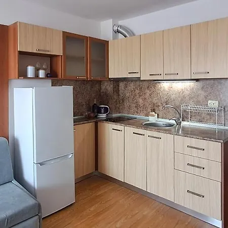 Apartment александър студио *